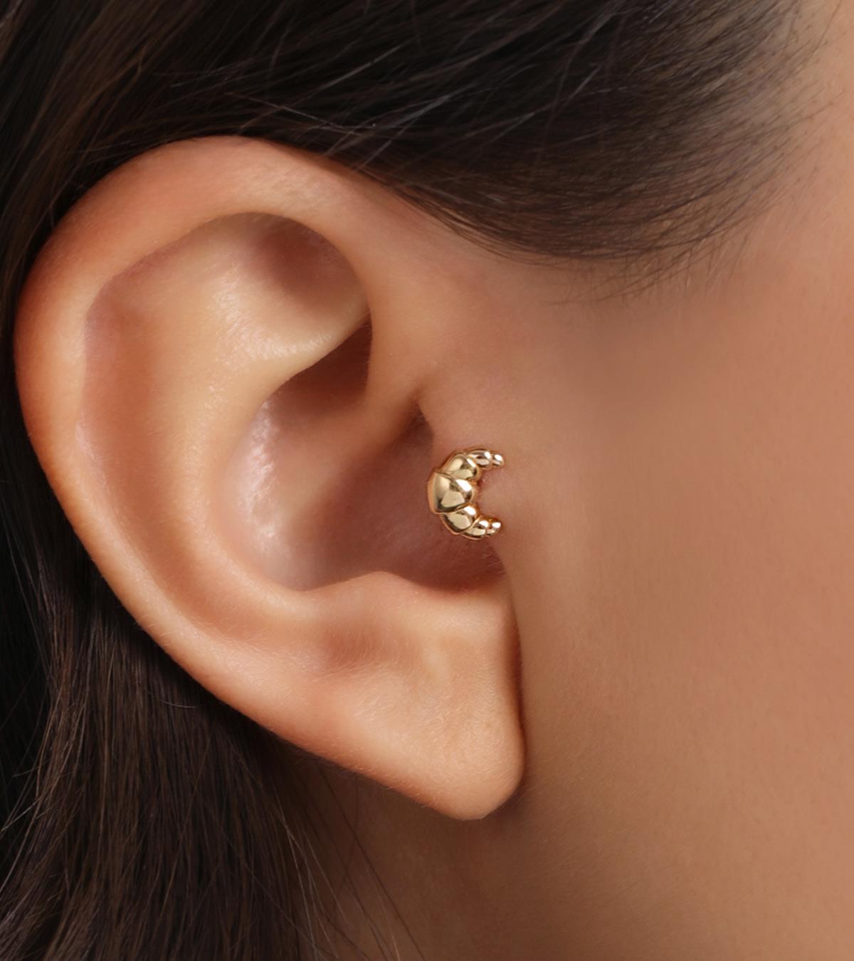 Kruvasan Piercing (Tragus)