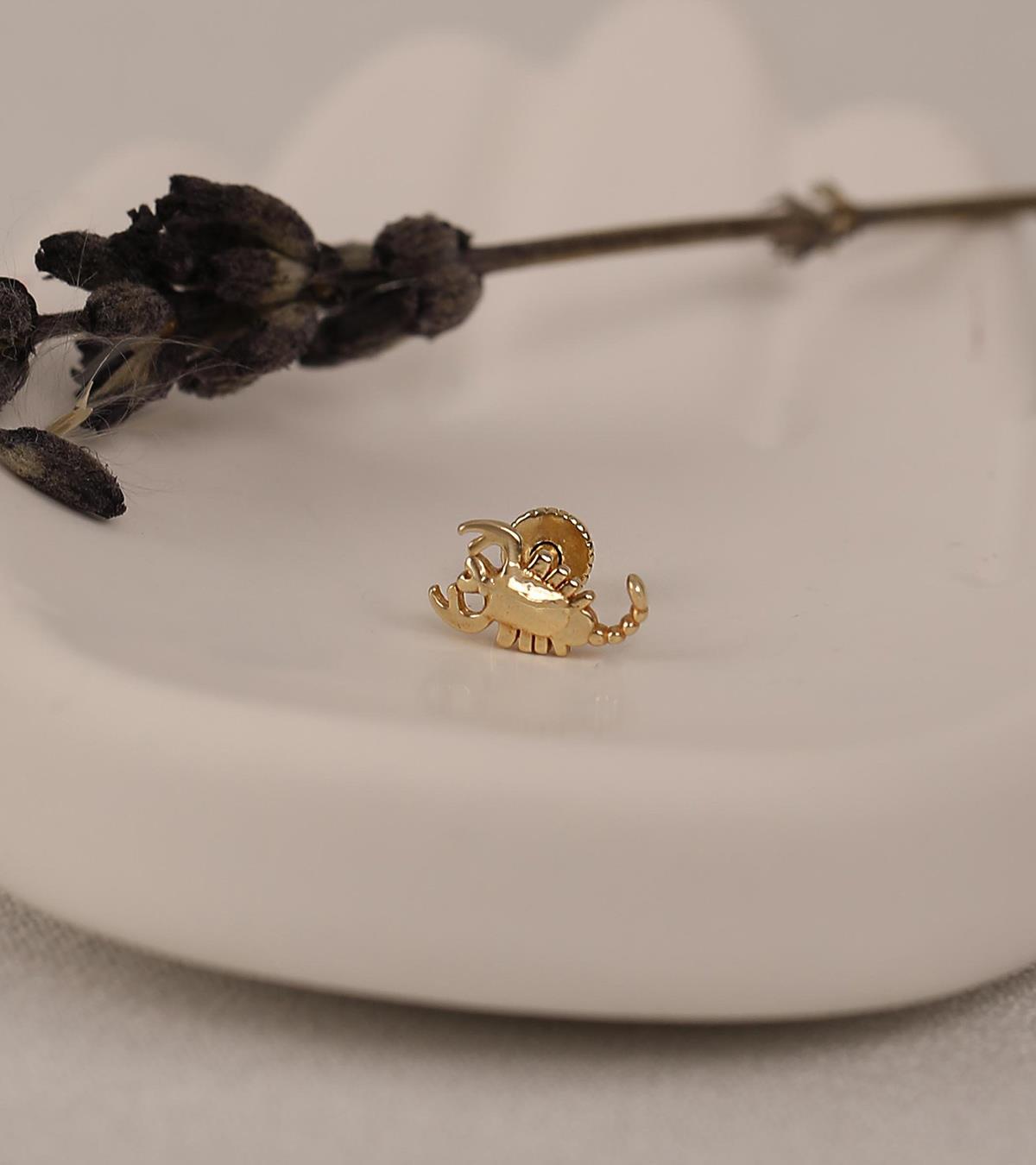 Akrep Piercing (Tragus)