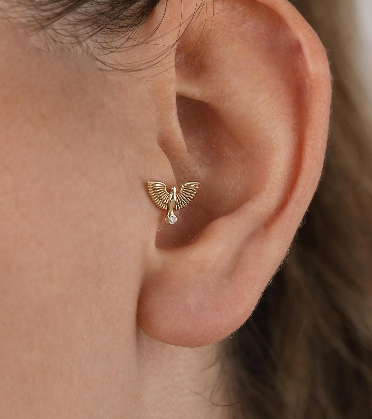 Anka Kuşu Piercing (Tragus)