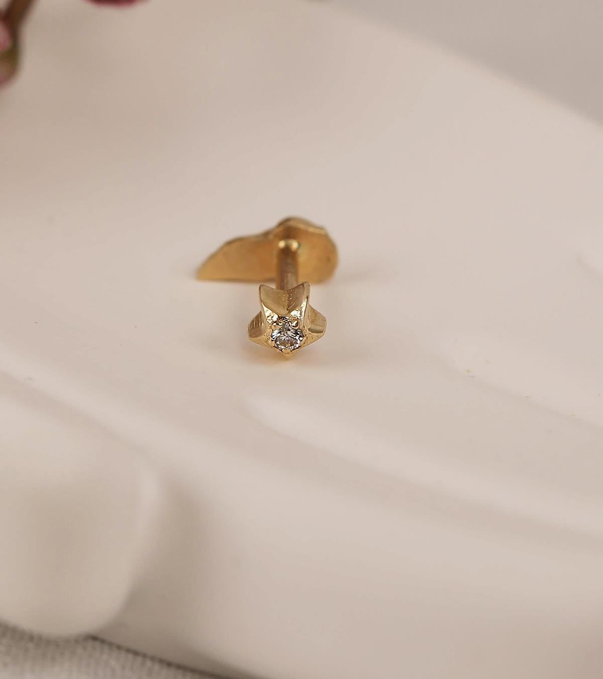 Aslan Yelesi Piercing (Tragus)