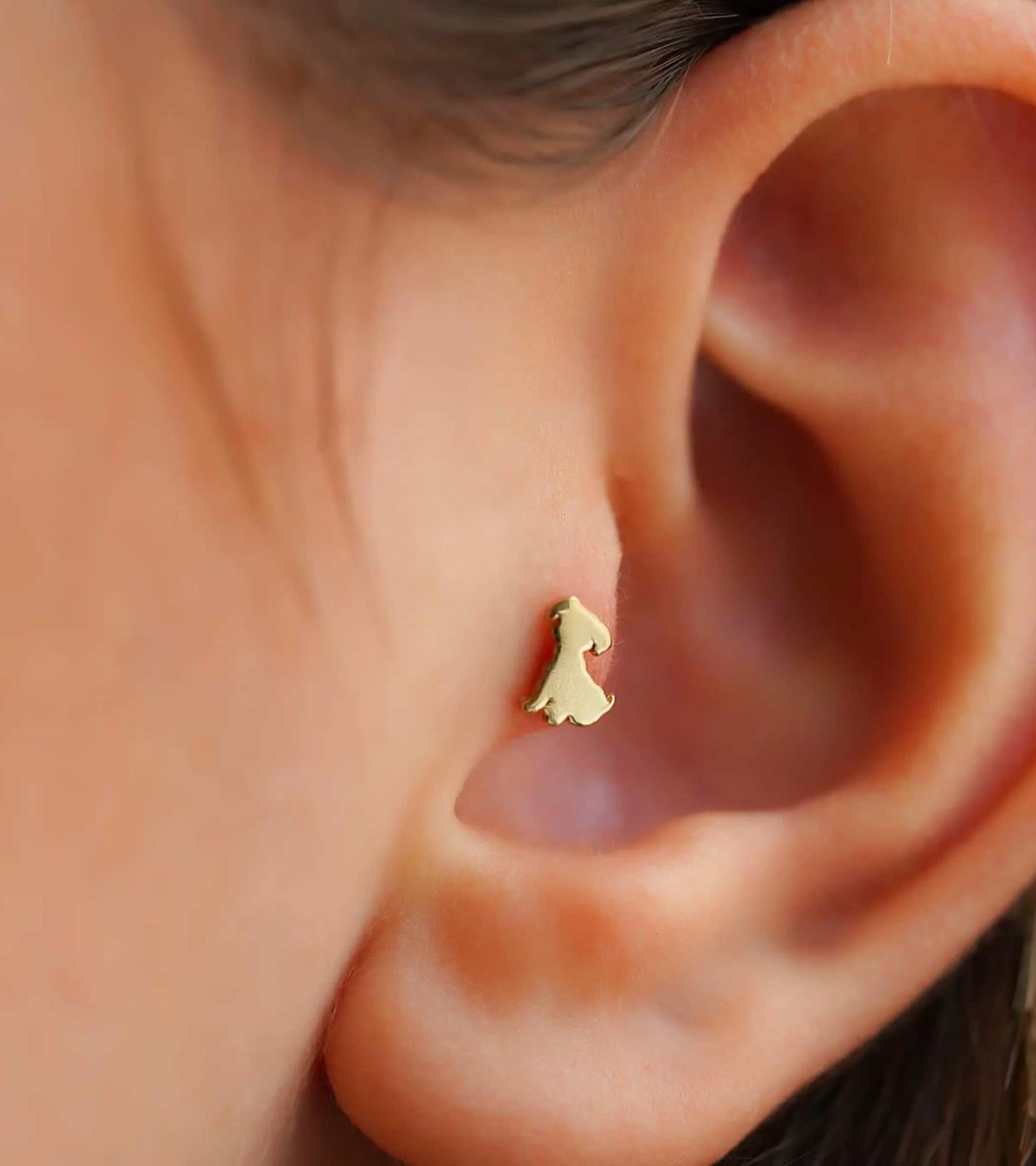 Dog Piercing (Tragus)