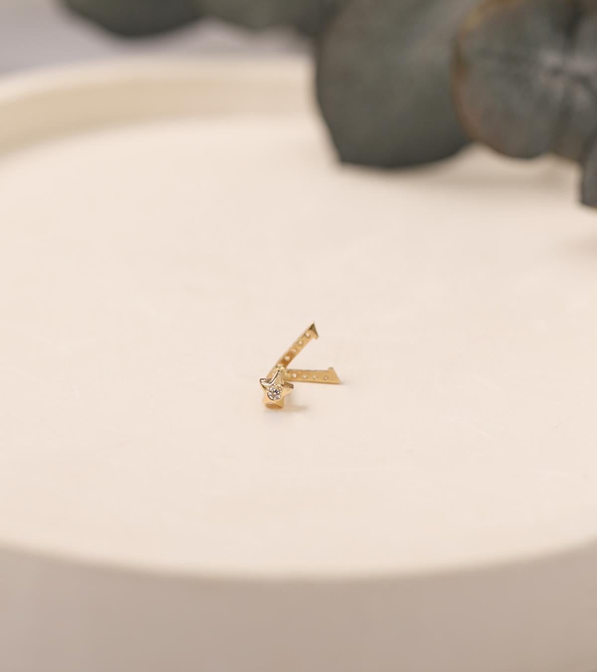 V Piercing (Tragus)