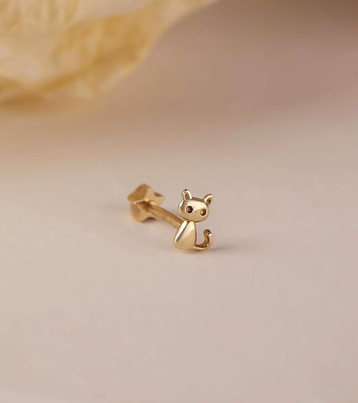 Kedi Piercing (Tragus)