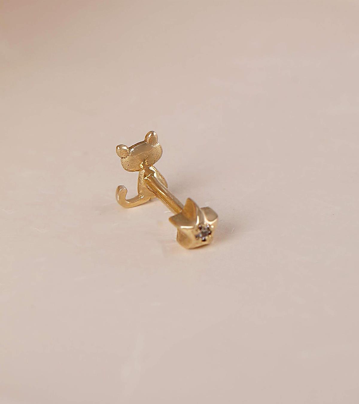 Kedi Piercing (Tragus)