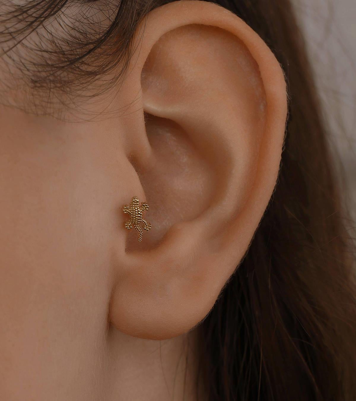 Lizzard Piercing (Tragus)