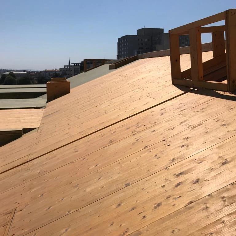 Solvent Based Wood Protector 25LtCLOU Nr:01 Natural Slv Based Wood Protector25Lt