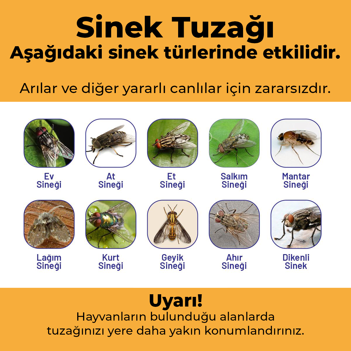 5 Adet Sinek Tuzağı