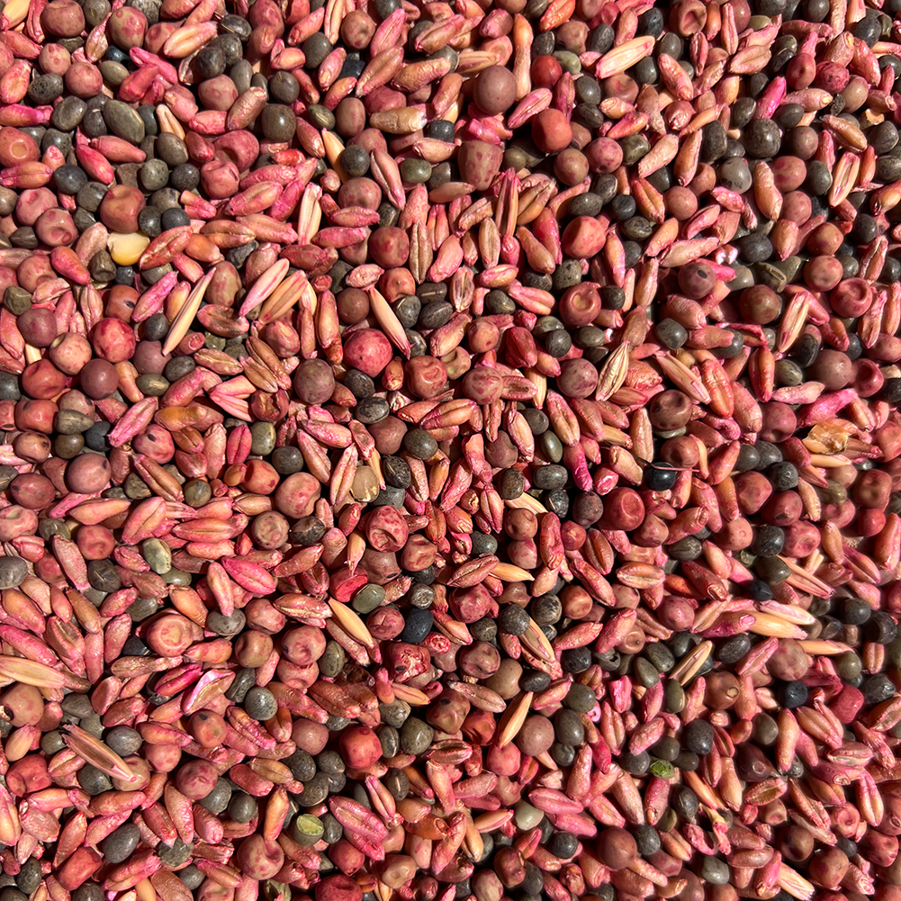 5'li Karışım Yem Bitkisi Tohumu 25 Kg.