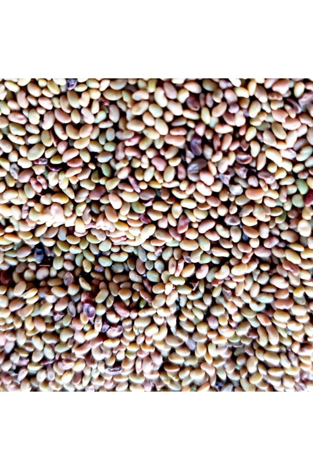 Bilensoy 80 Yonca Tohumu 10 Kg.