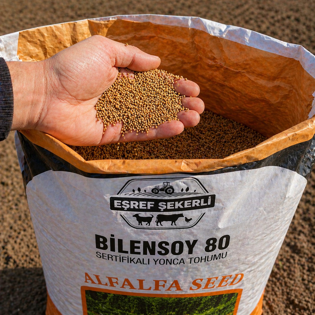 Bilensoy 80 Yonca Tohumu 10 Kg.