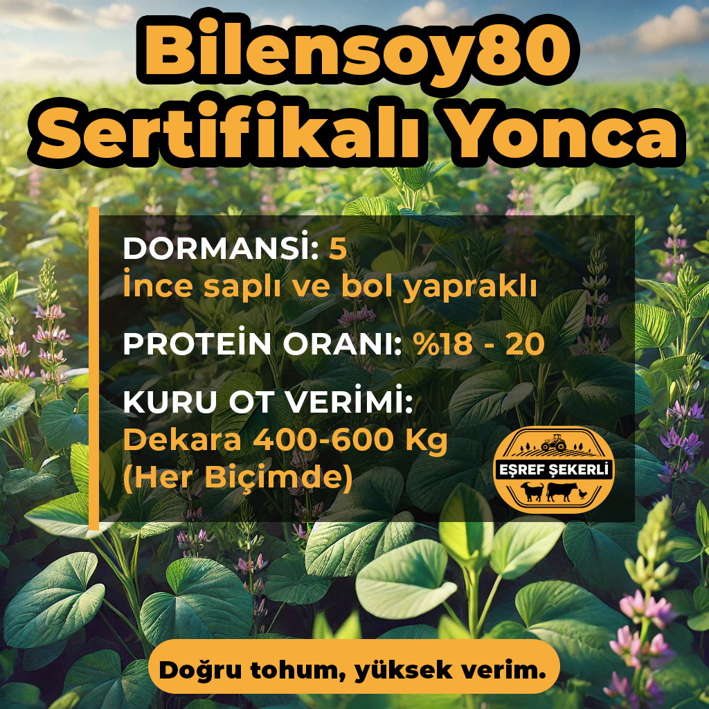 Bilensoy 80 Yonca Tohumu 25 Kg.