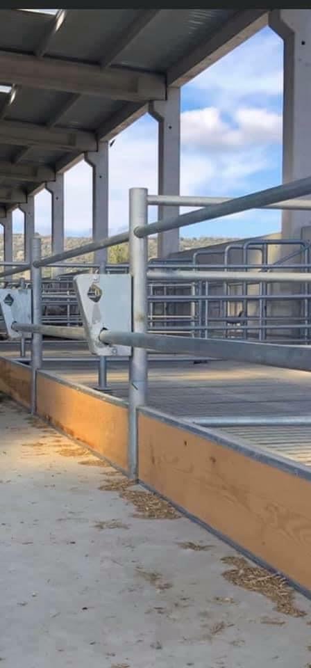 Büyükbaş Hayvan Yemlik Kilidi