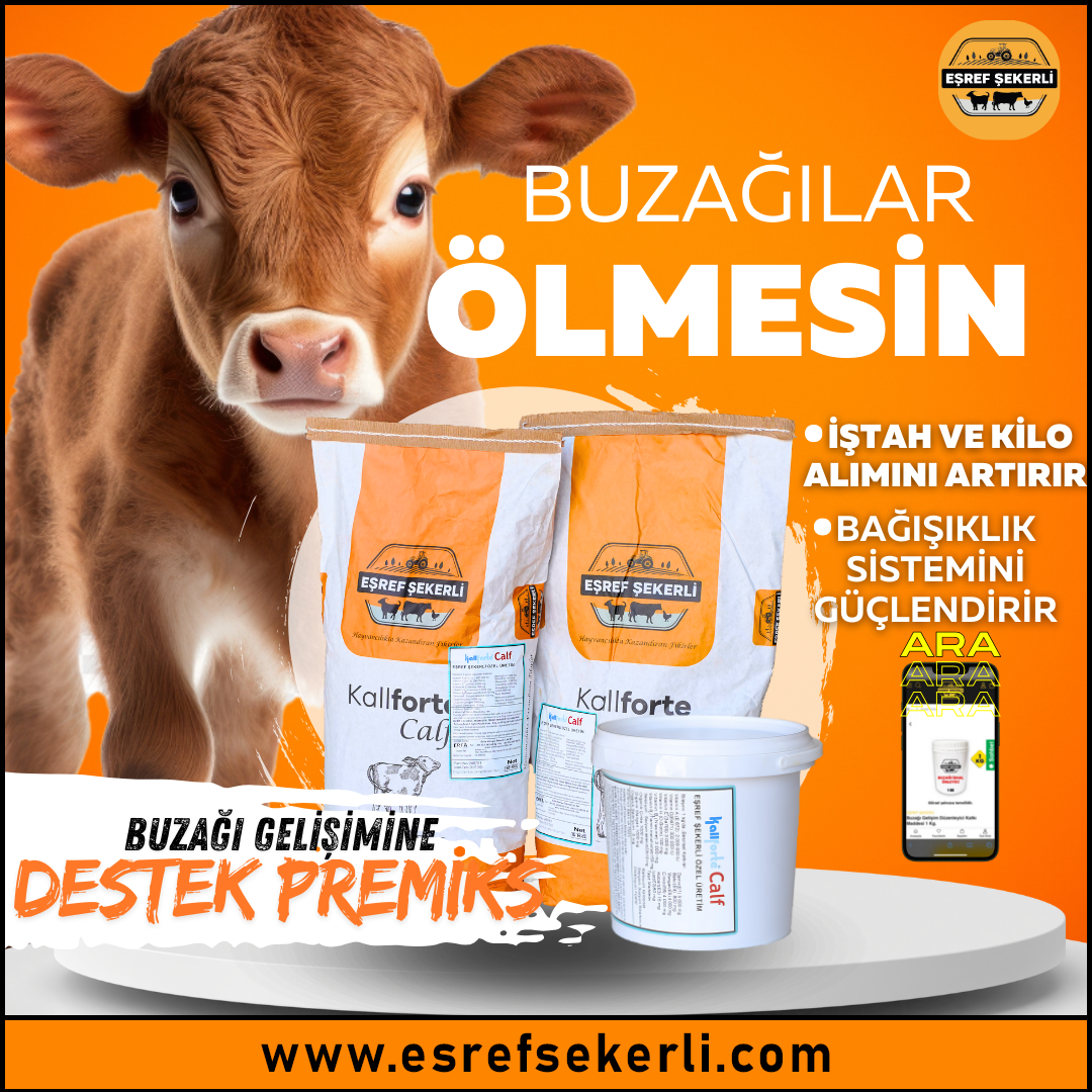 Buzağı Gelişim Düzenleyici Katkı Maddesi 1 Kg.