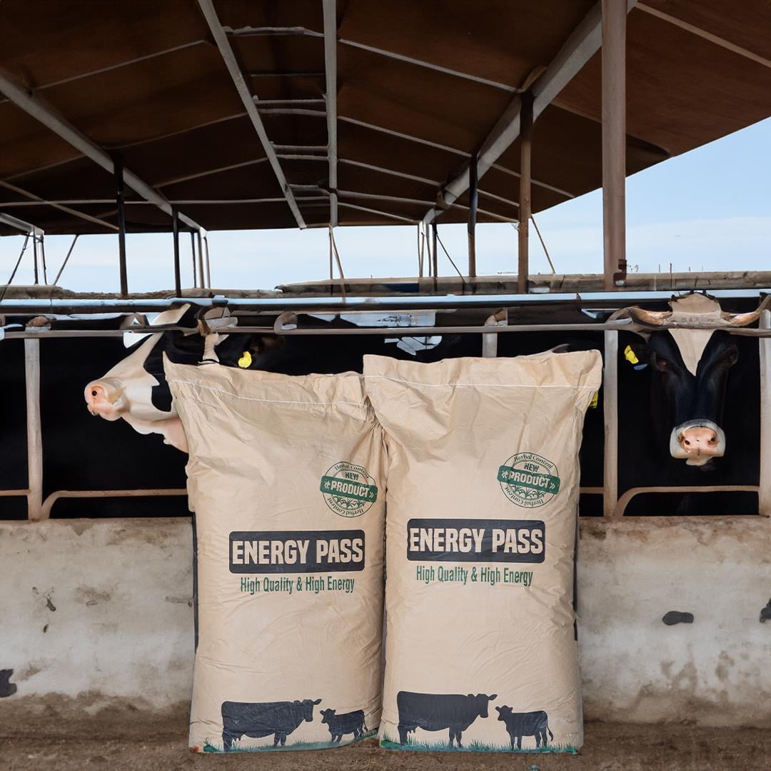 ByPass Yağı 25 Kg