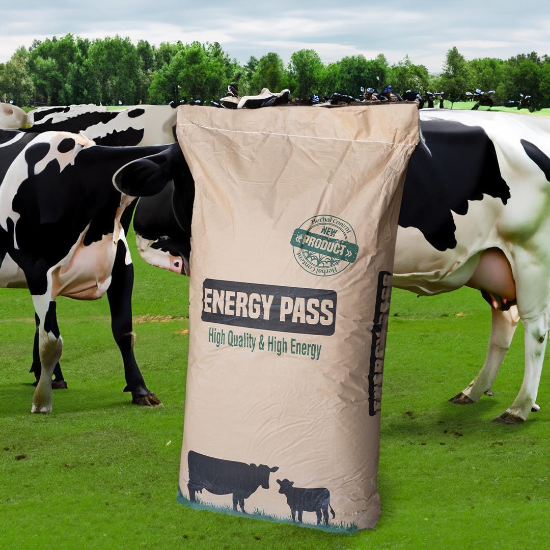 ByPass Yağı 25 Kg