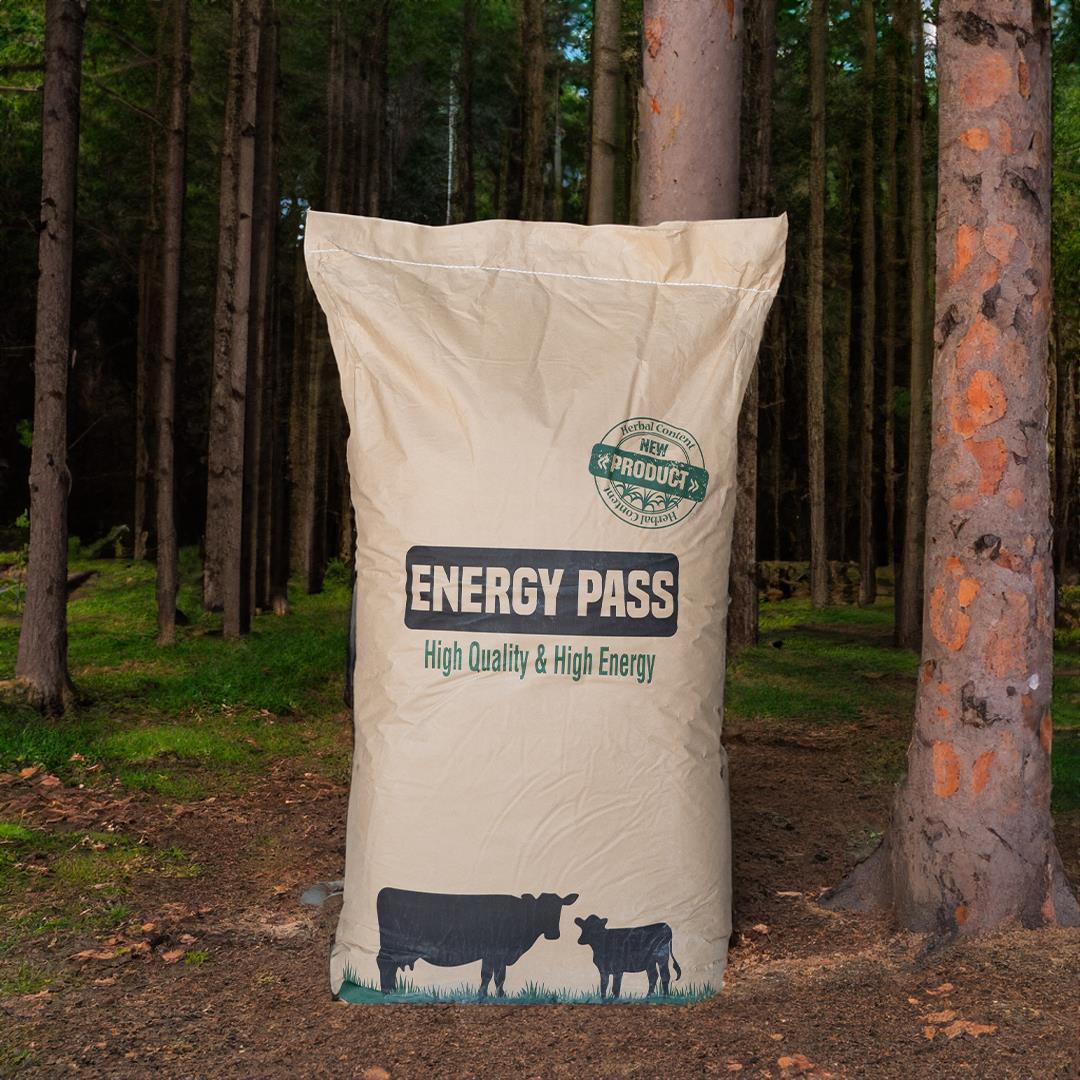 ByPass Yağı 25 Kg
