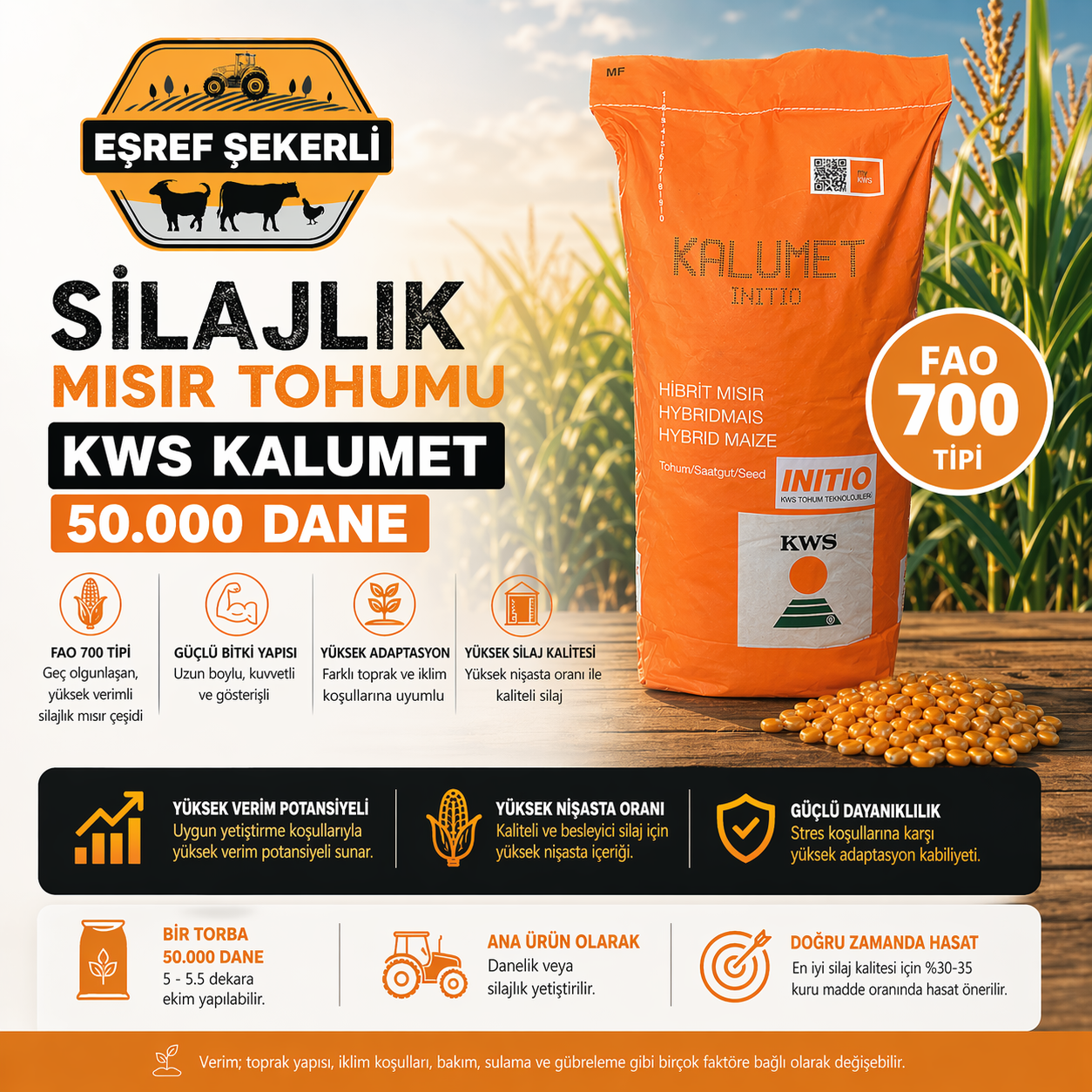 KWS Kalumet Silajlık Mısır Tohumu