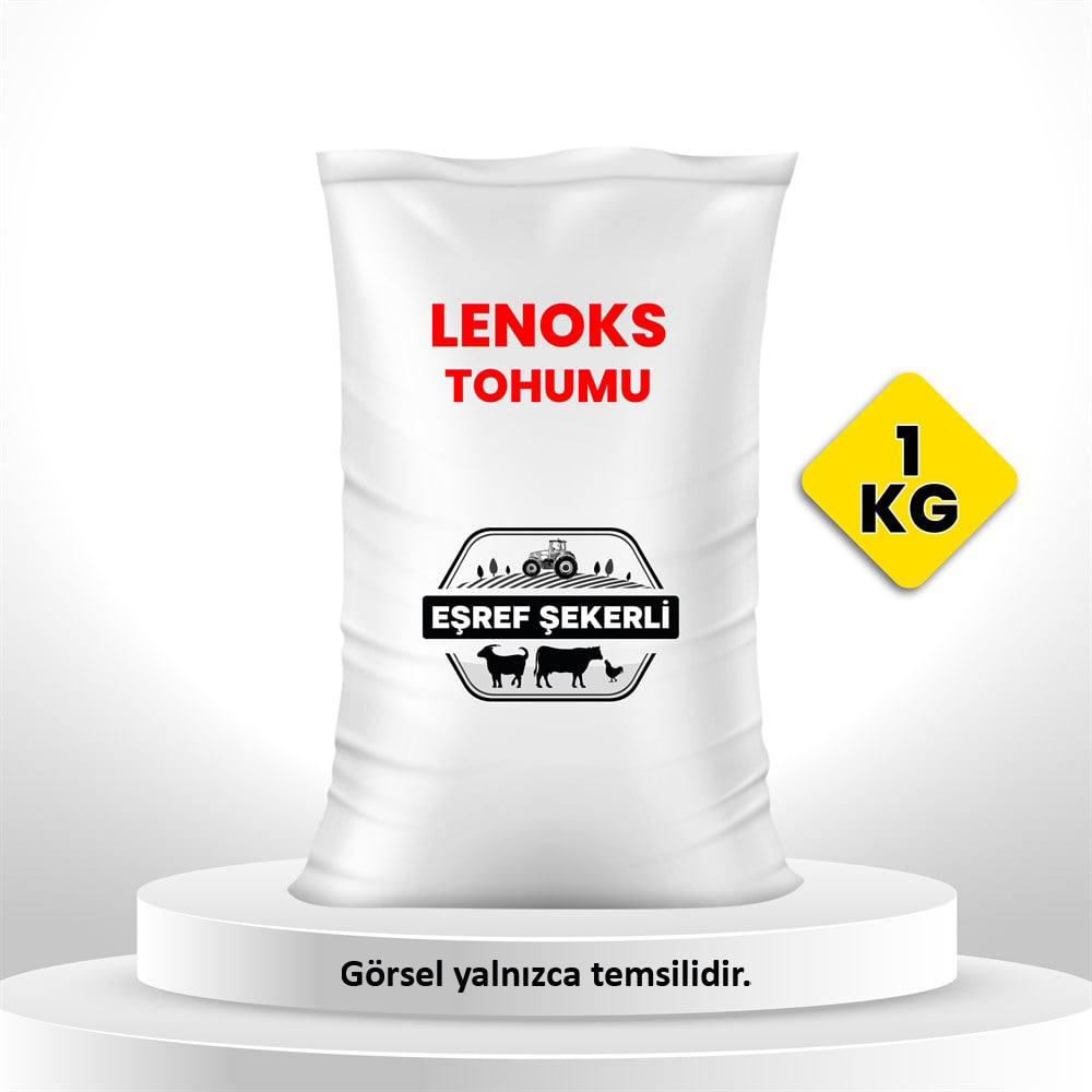 Lenoks Yem Şalgamı Bitkisi 1 Kg.