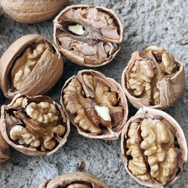 Maraş 18 Birinci Sınıf Kabuklu Ceviz 10 Kg