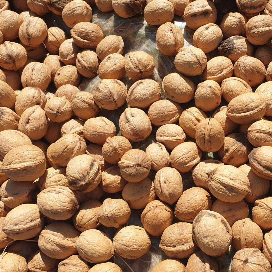 Maraş 18 Birinci Sınıf Kabuklu Ceviz 10 Kg