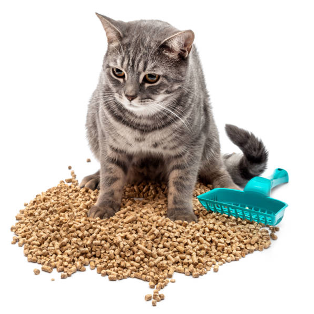 Pelet Yakıt Çam A1 Kalite Yakıt 20 KG