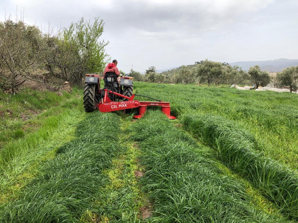 Reygras Otu Tohumu 10 Kg.