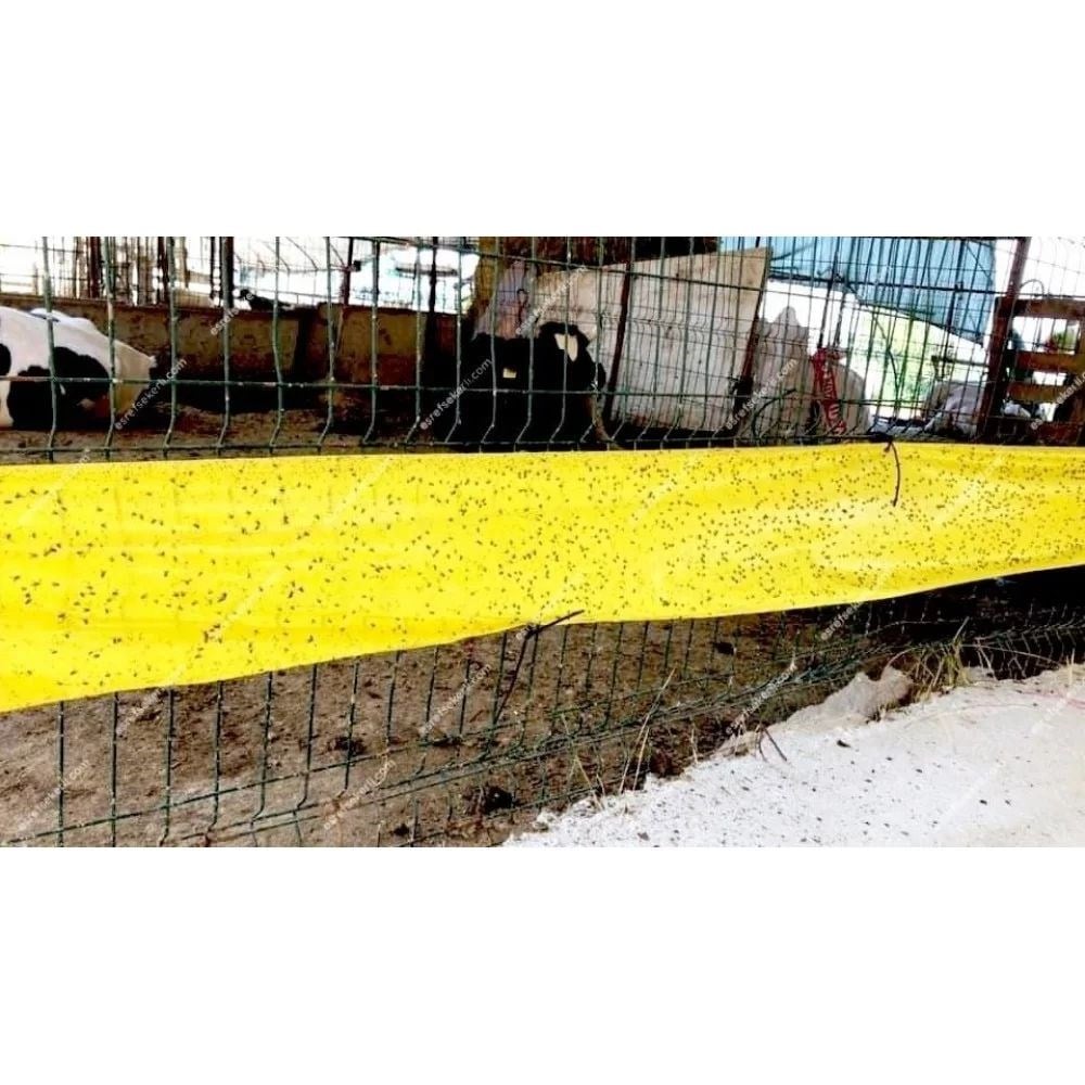 Sinek Yakalama Bandı 15x100 Metre