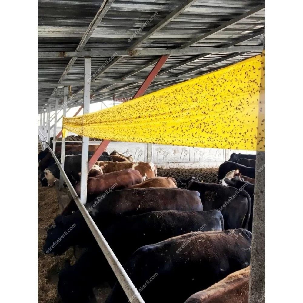 Sinek Yakalama Bandı 15x100 Metre