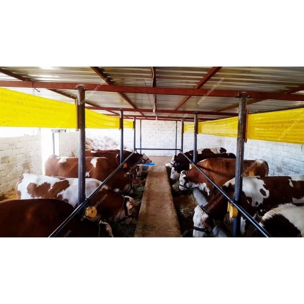 Sinek Yakalama Bandı 30x50 Metre