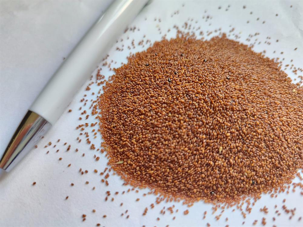 Teffgrass Yaz Otu Tohumu 5 Kg.