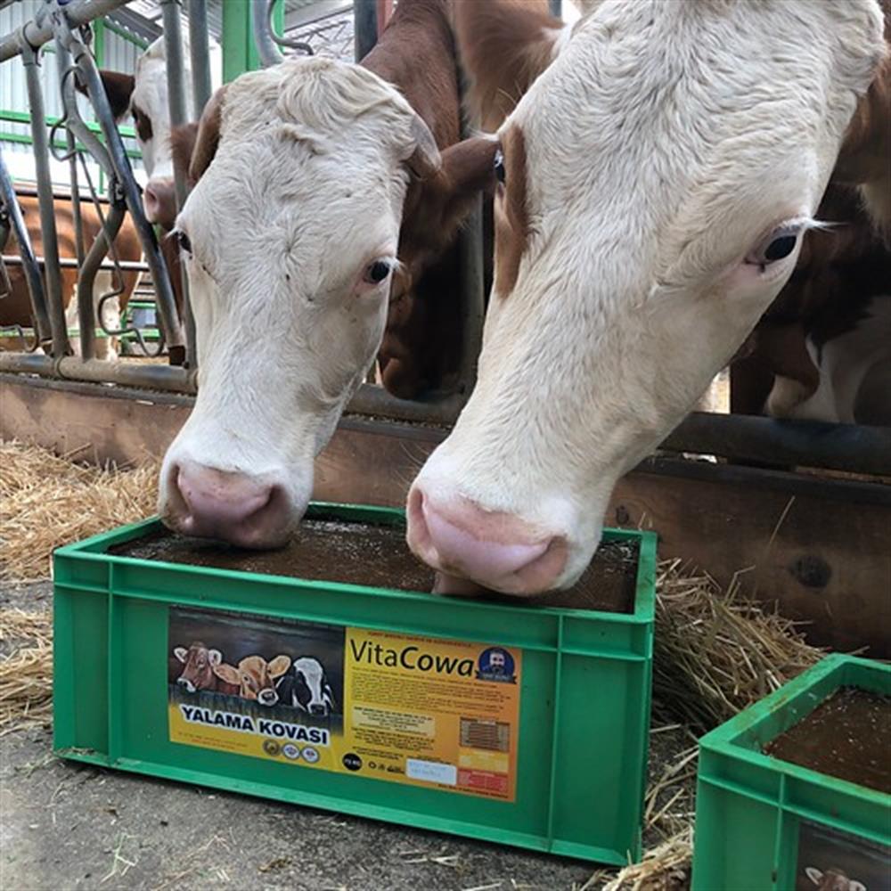 Vitacowa Yalama Kovası 25 Kg.