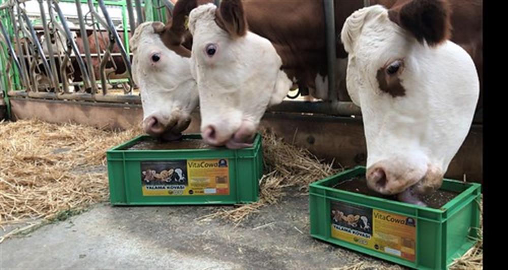 Vitacowa Yalama Kovası 25 Kg.