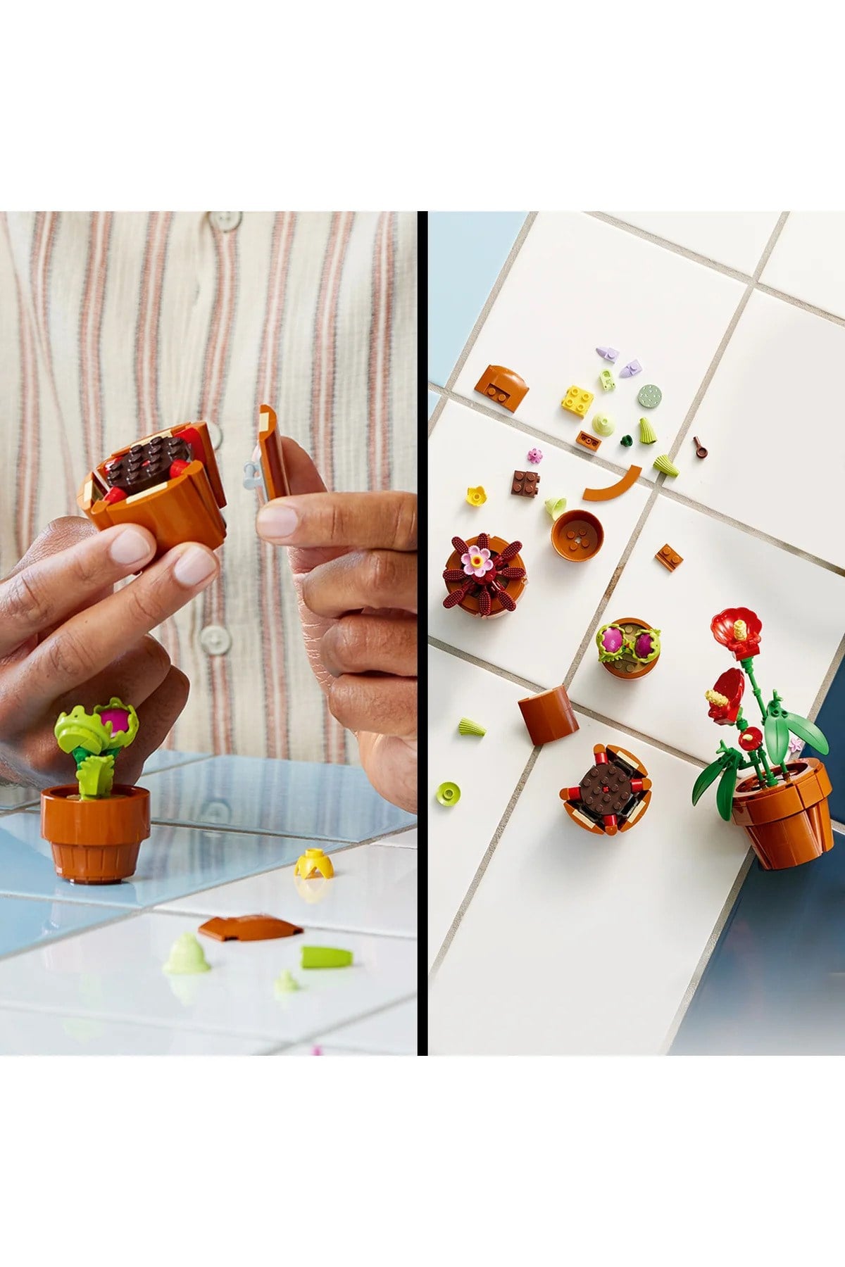 ® Botanicals Minik Bitkiler 10329 - 18+ Yaratıcı Model Yapım Seti (758Parça)-Lego