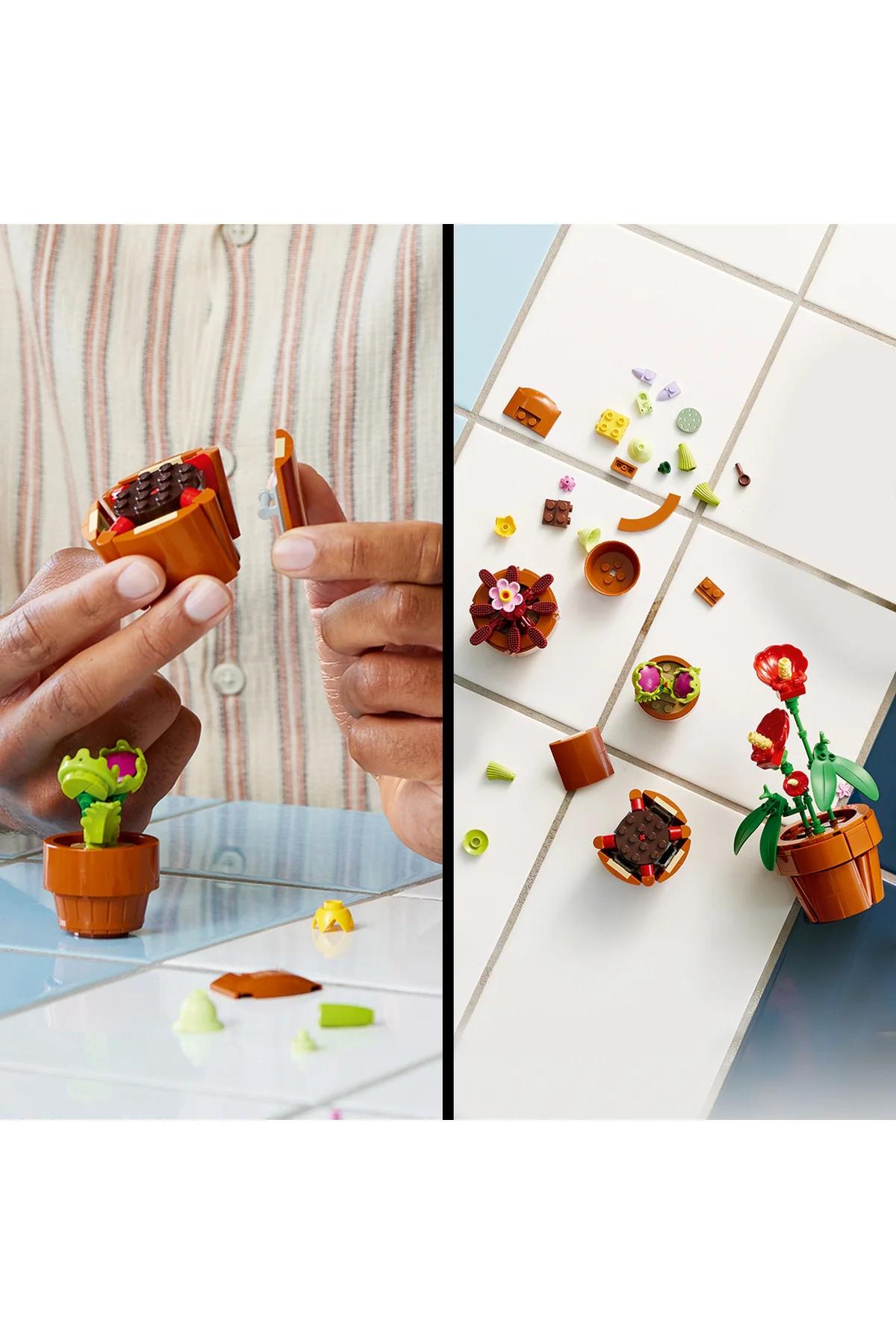 ® Botanicals Minik Bitkiler 10329 - 18+ Yaratıcı Model Yapım Seti (758Parça)-Lego