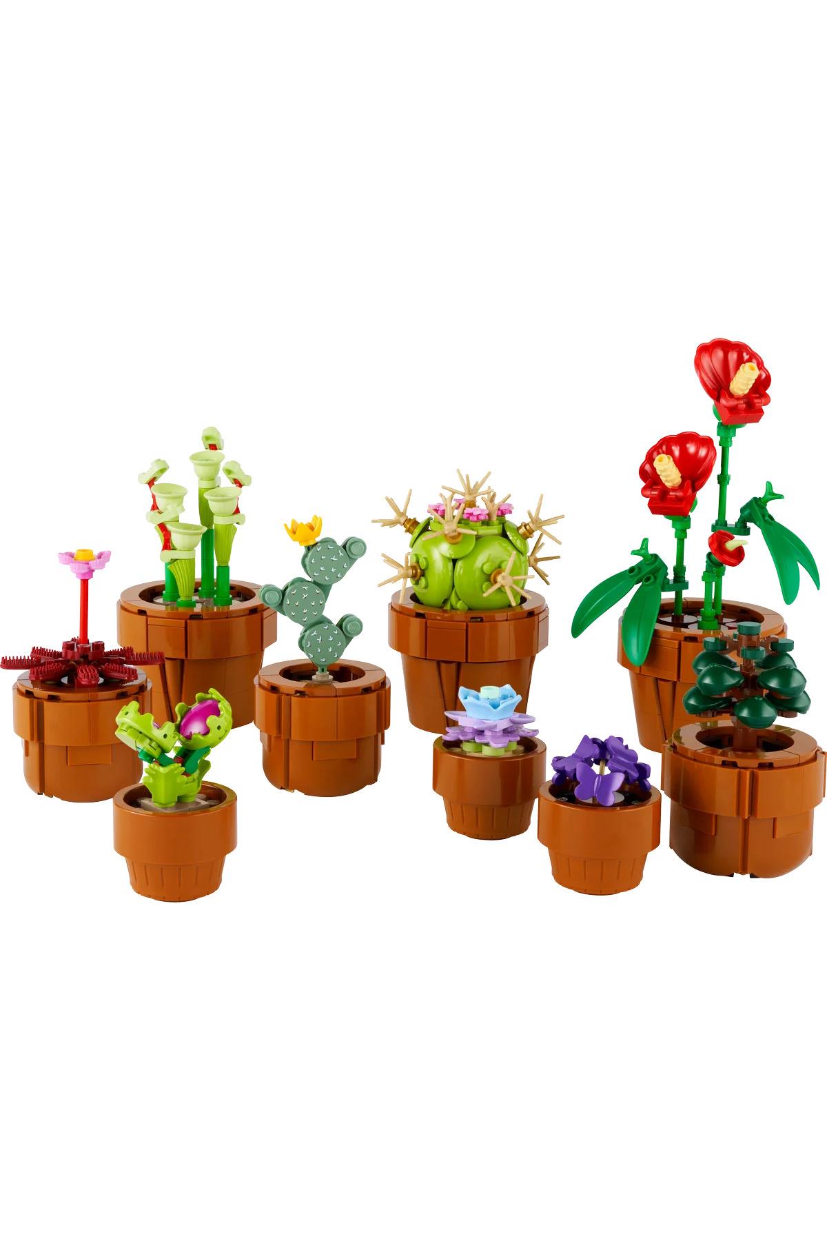 ® Botanicals Minik Bitkiler 10329 - 18+ Yaratıcı Model Yapım Seti (758Parça)-Lego