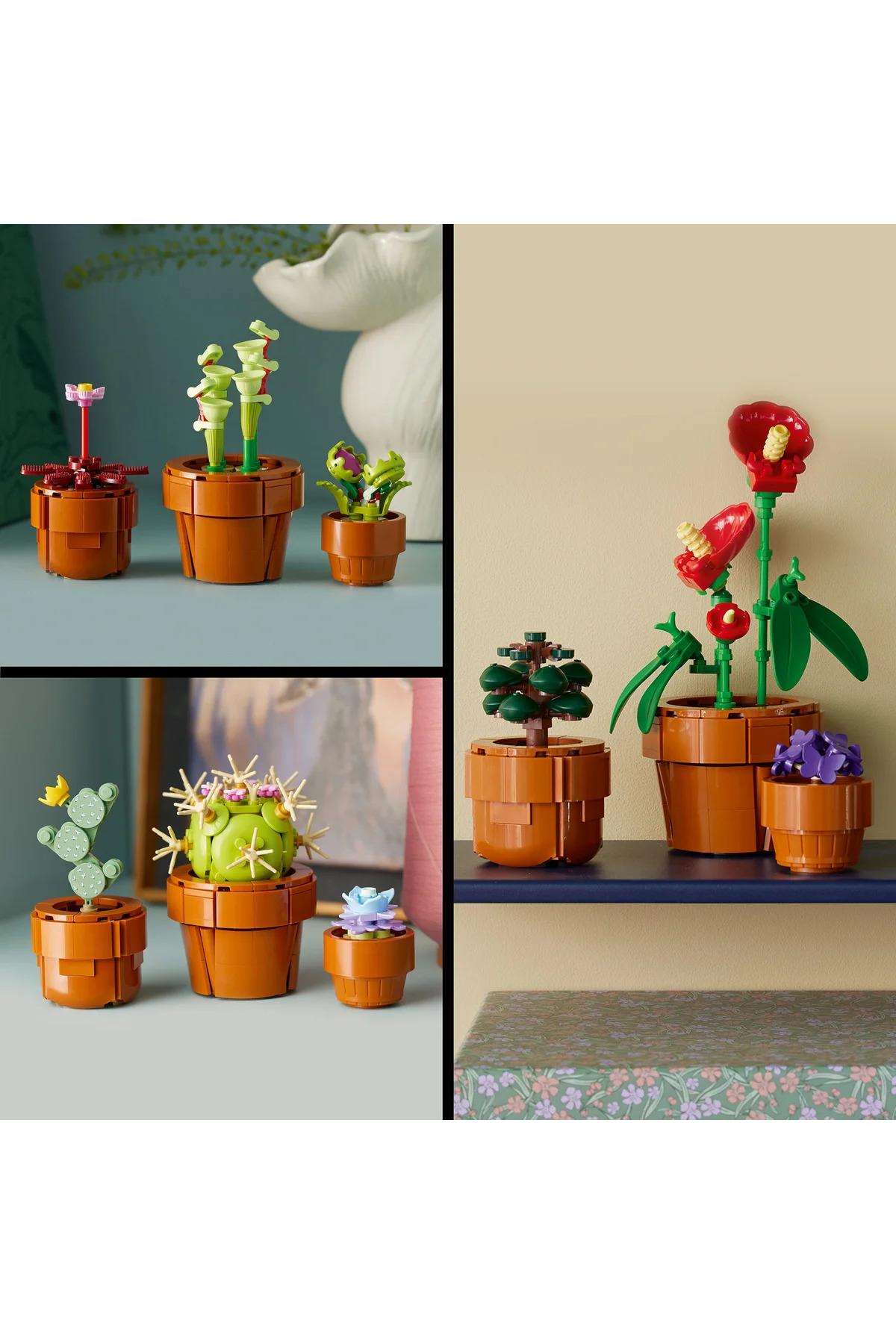 ® Botanicals Minik Bitkiler 10329 - 18+ Yaratıcı Model Yapım Seti (758Parça)-Lego