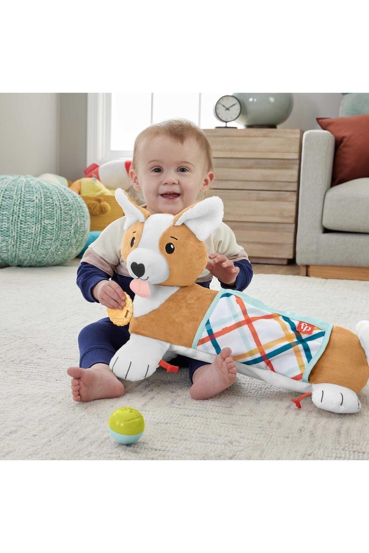 3'ü 1 Arada Köpekçik Uzanma Yastığı Hjw10-Eğitici Oyuncak