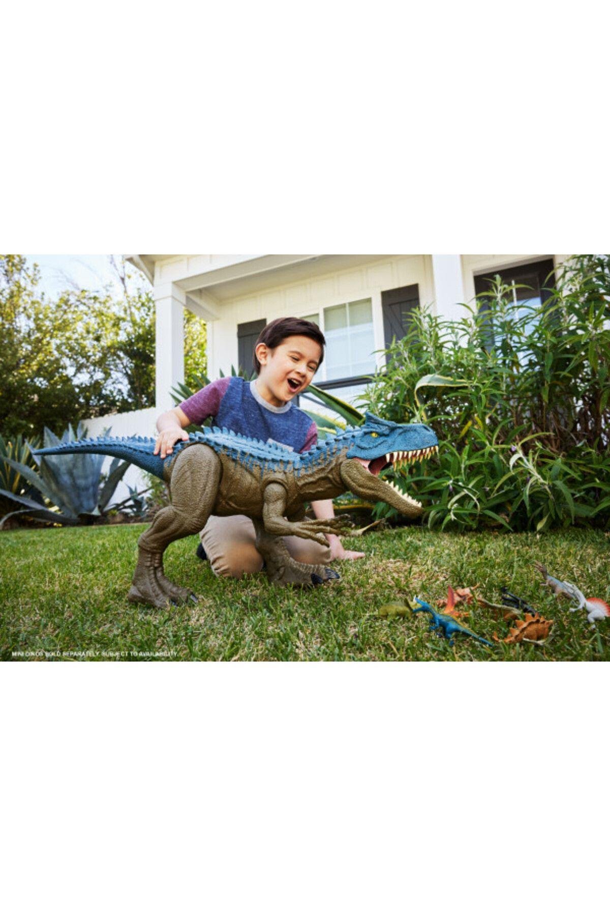 Devasa Allosaurus Figürü Hrx53-Hayvan Figürleri