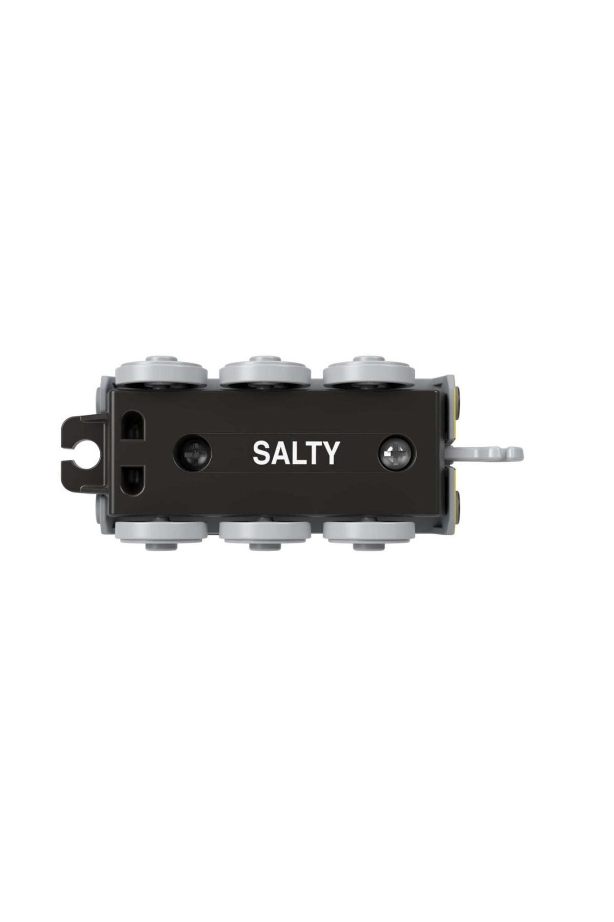 Fisher-Price Thomas Friends Salty HFX89-HNN12-Çeşitli Figürler