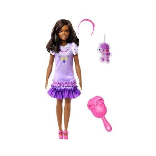 My First Barbie Serisi Bebekleri HLL18-Oyuncak Bebekler