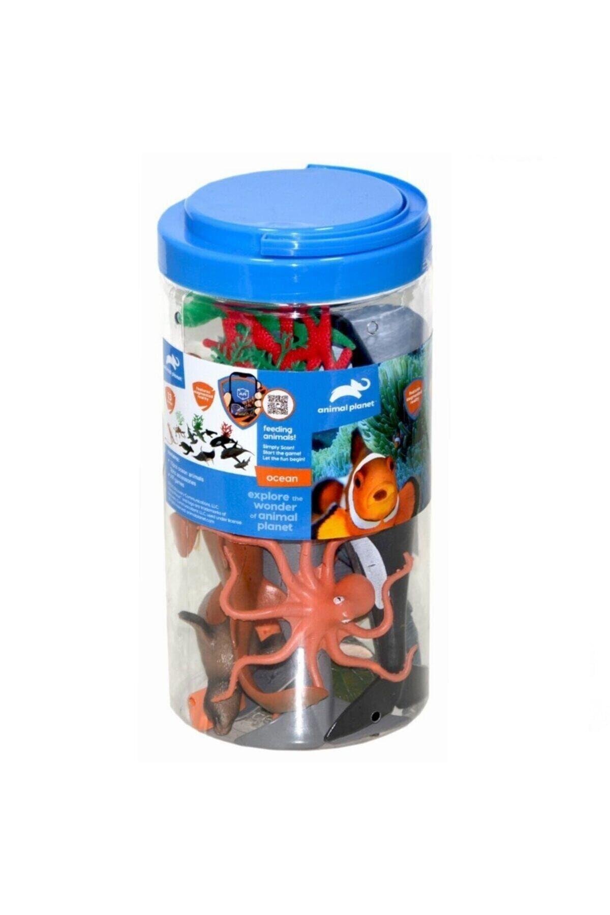 Oyuncak Okyanus Hayvanları Seti-Hayvan Figürleri