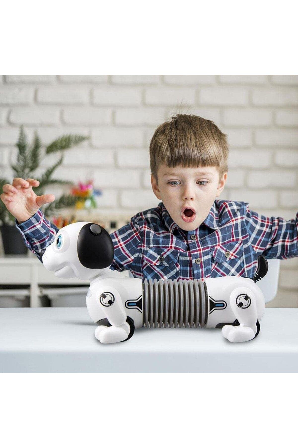 Robo Dackel Junior-Robotlar