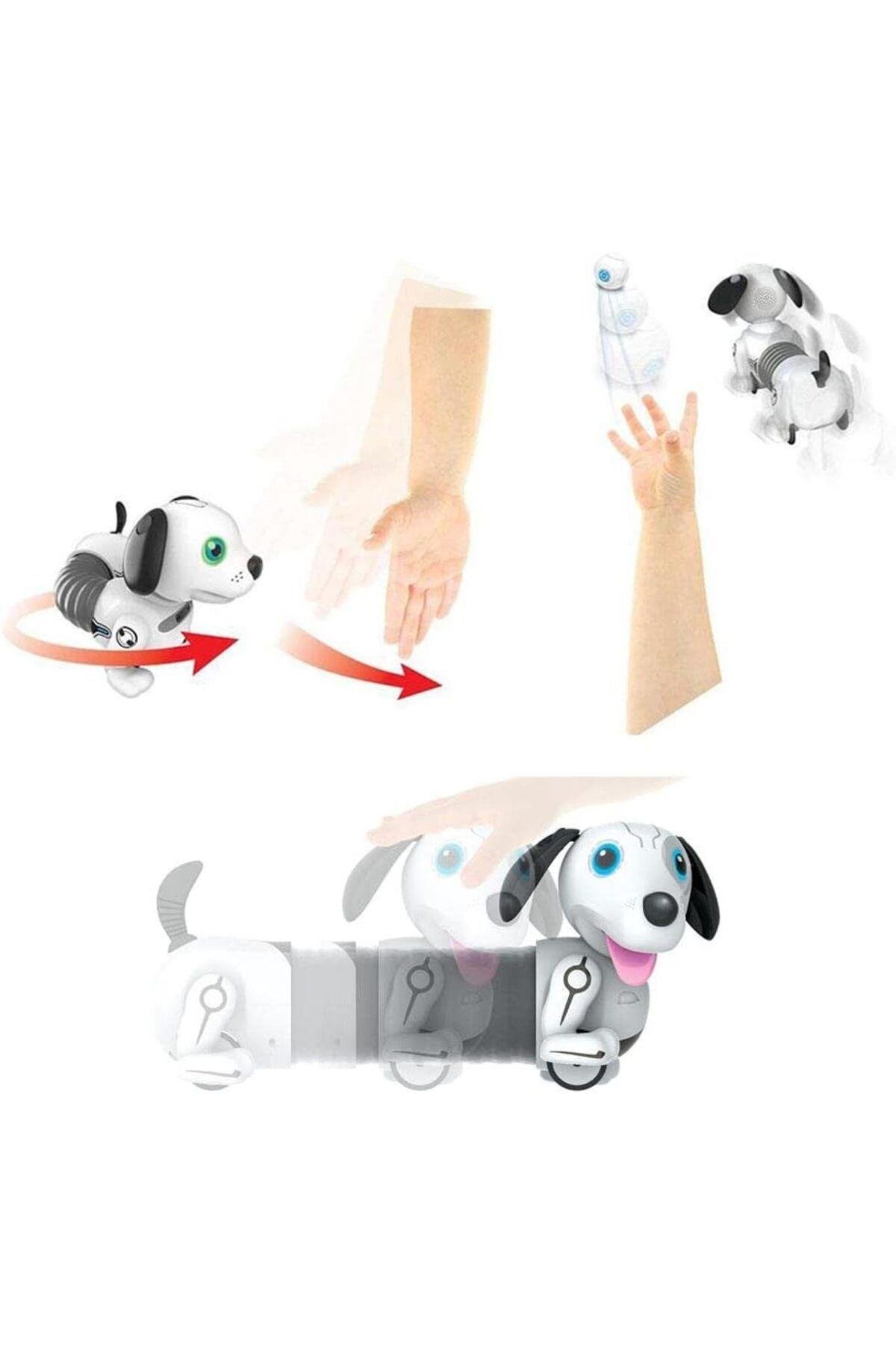 Robo Dackel Junior-Robotlar