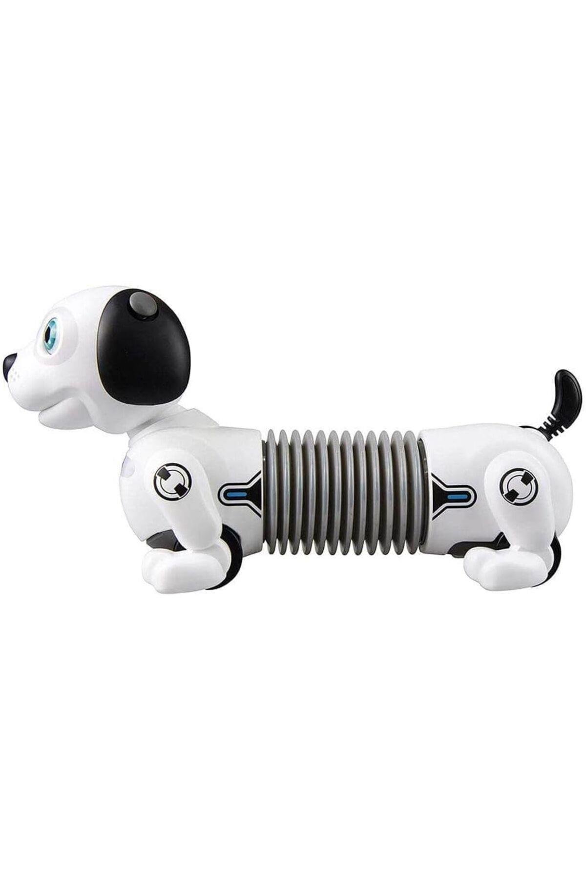 Robo Dackel Junior-Robotlar