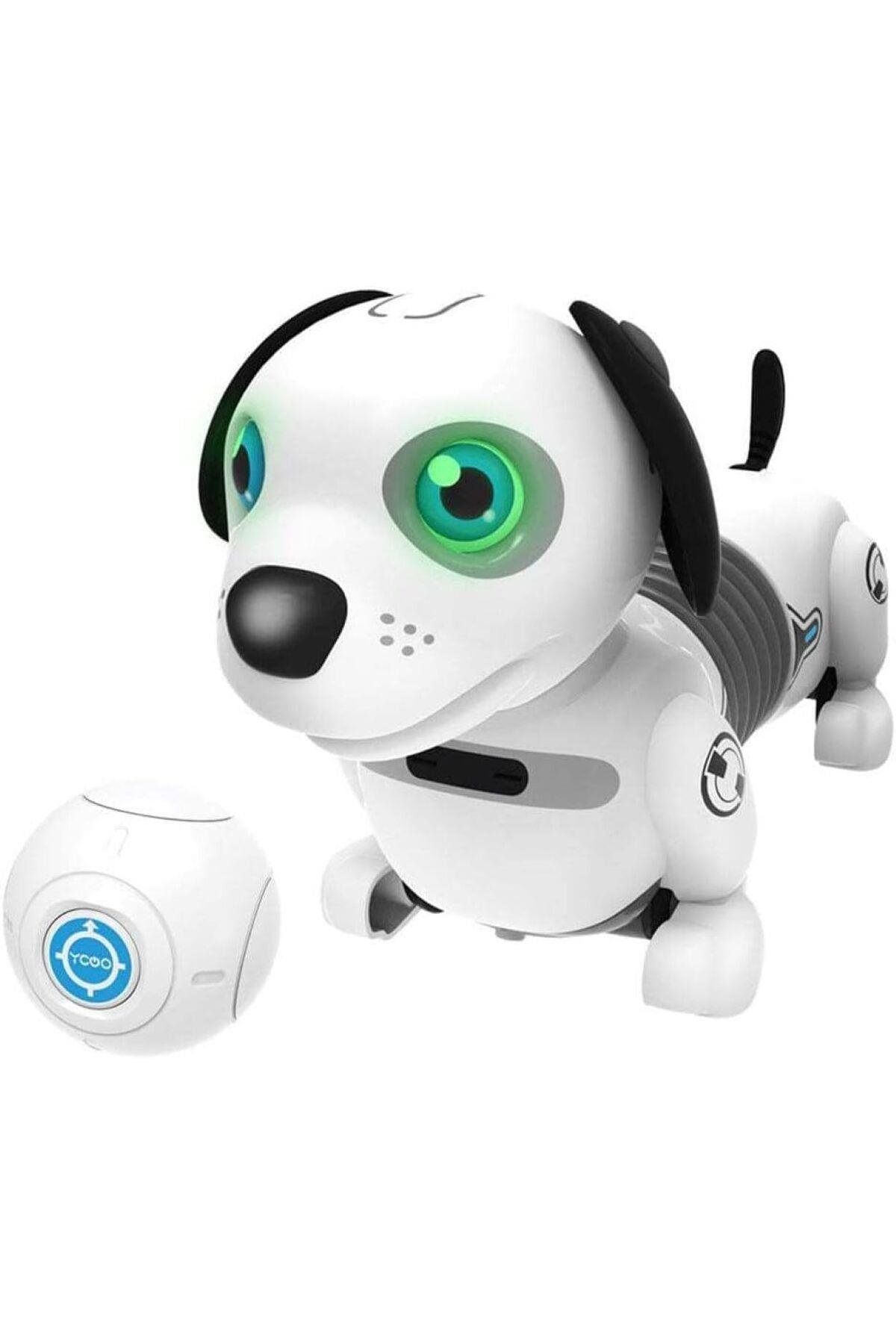 Robo Dackel Junior-Robotlar