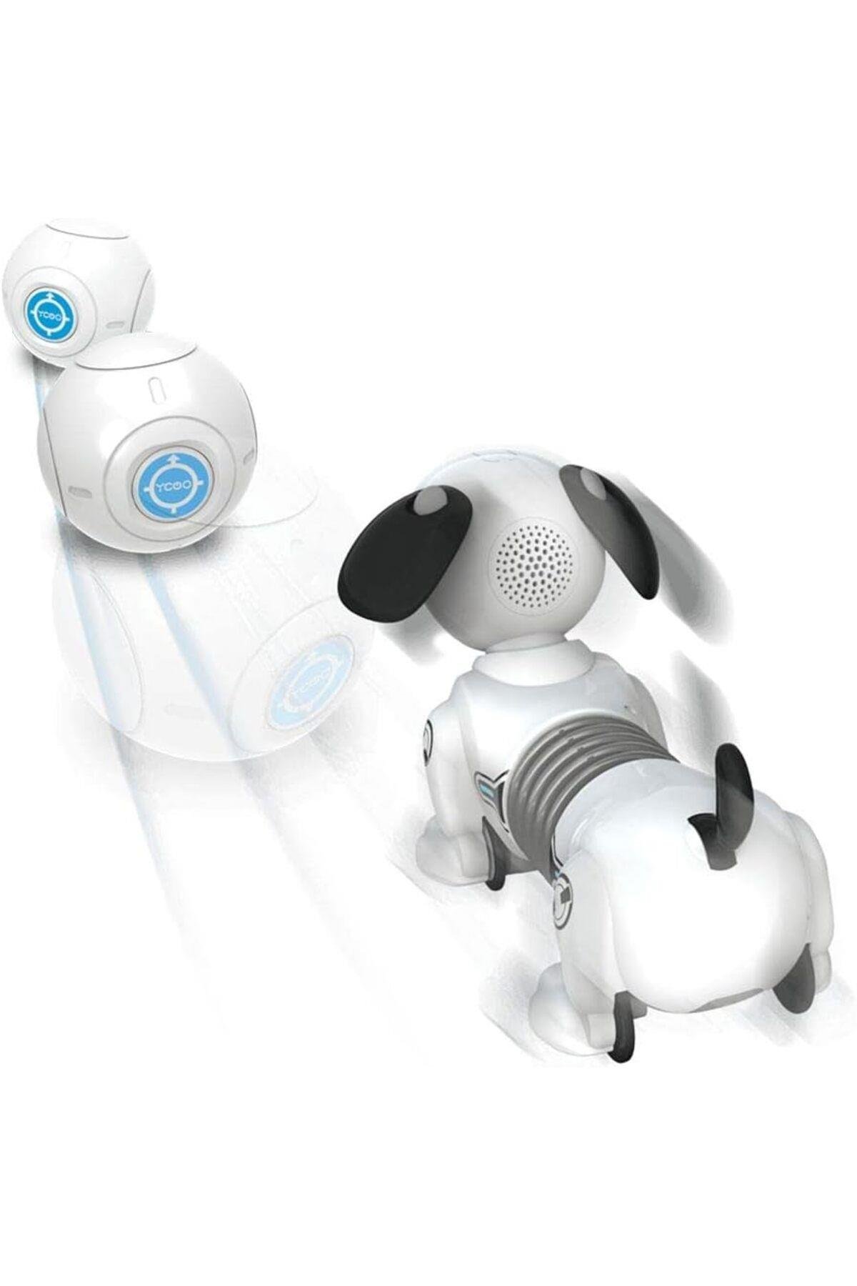 Robo Dackel Junior-Robotlar