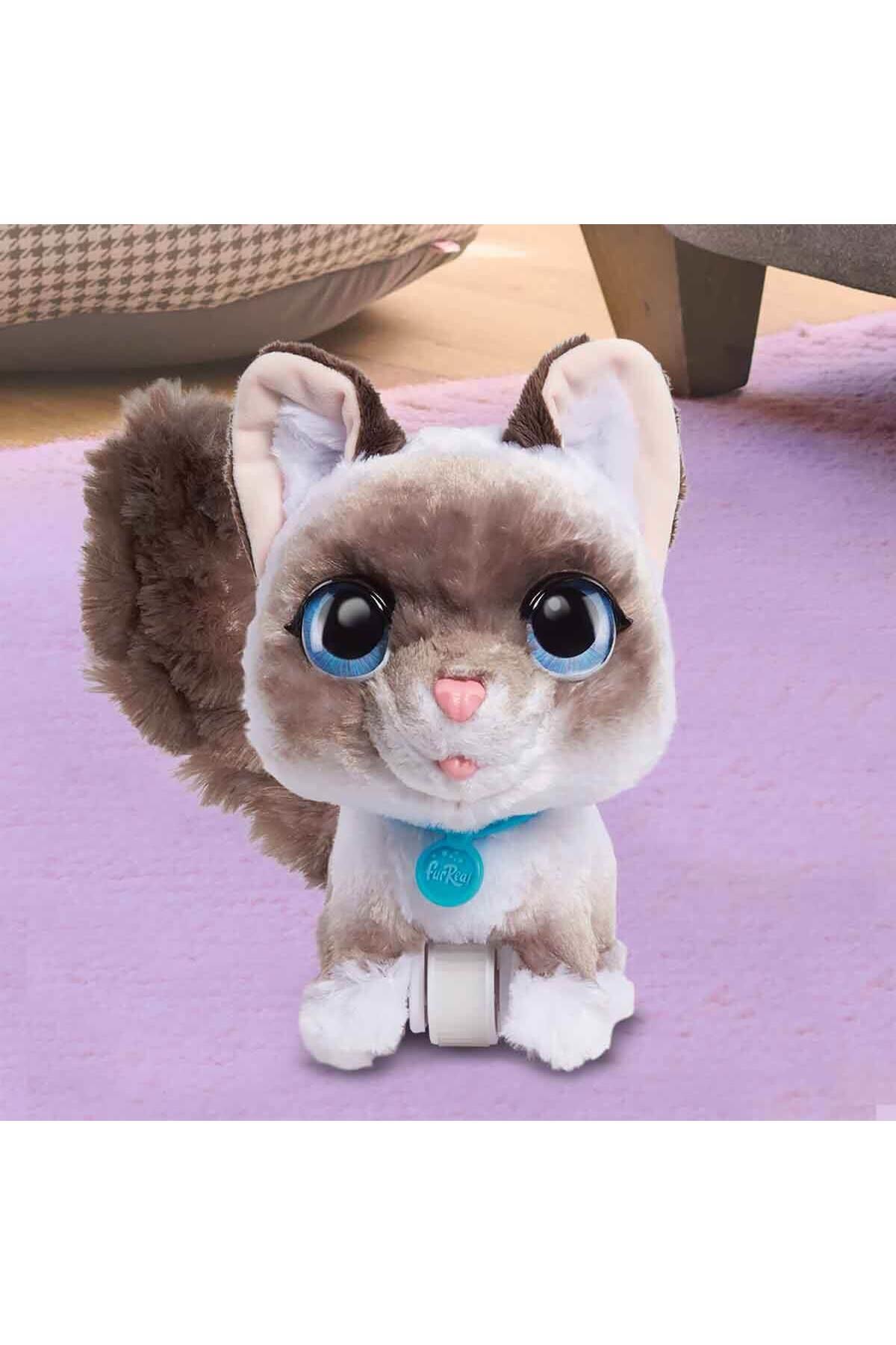 Sesli ve Hareketli Wag-A-Lot Kedi Peluş FUR00000-Hayvan Figürleri