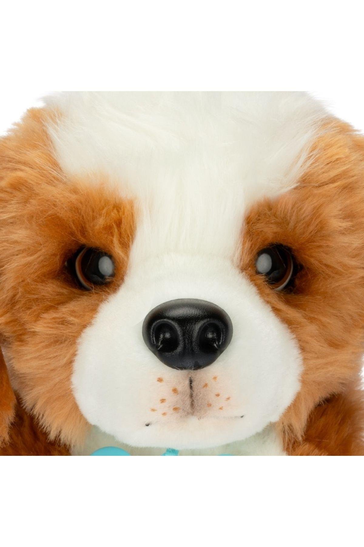 Sevimli Köpeğim Lp800000-Peluş Oyuncaklar