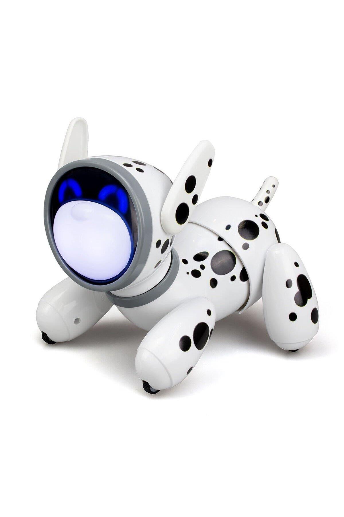 SIL 88500 Robo Jiggo İnteractive Dog-Robotlar