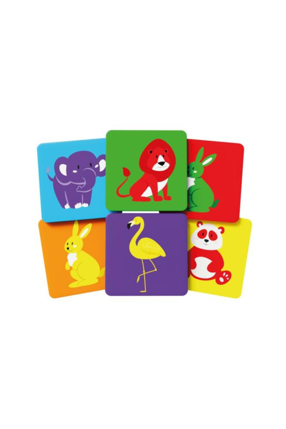 Smart Animals Çocuklar Için Kutu Oyunu Akıl Oyunu-Kutu Oyunları
